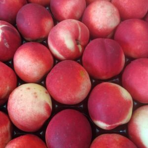 Nectarine blanche cal A cat2