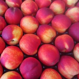 Nectarine jaune cal A cat2